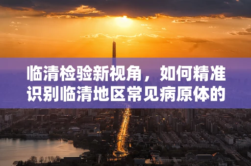 临清检验新视角，如何精准识别临清地区常见病原体的隐形挑战？