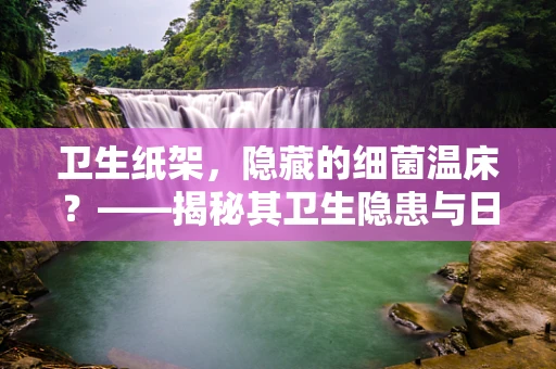 卫生纸架，隐藏的细菌温床？——揭秘其卫生隐患与日常维护