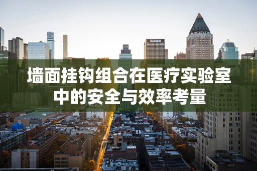 墙面挂钩组合在医疗实验室中的安全与效率考量