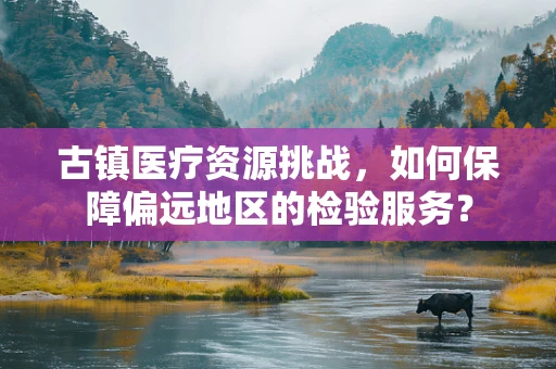 古镇医疗资源挑战，如何保障偏远地区的检验服务？