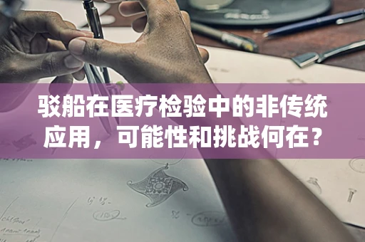 驳船在医疗检验中的非传统应用，可能性和挑战何在？