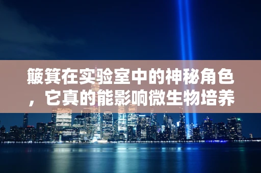 簸箕在实验室中的神秘角色，它真的能影响微生物培养的‘风水’吗？