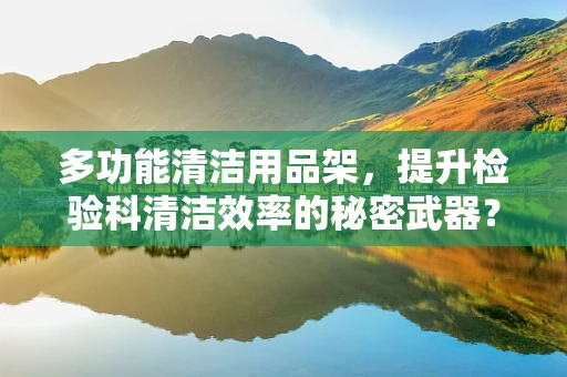 多功能清洁用品架，提升检验科清洁效率的秘密武器？