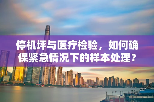 停机坪与医疗检验，如何确保紧急情况下的样本处理？