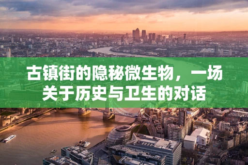 古镇街的隐秘微生物，一场关于历史与卫生的对话