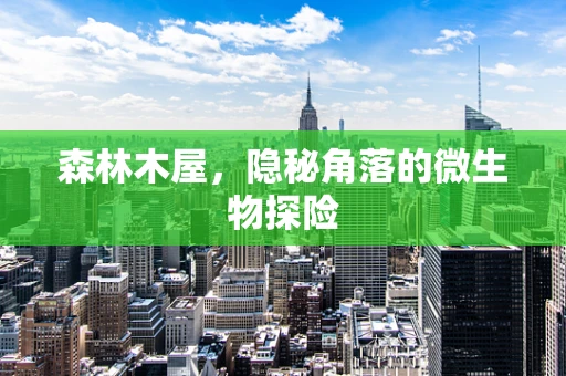 森林木屋，隐秘角落的微生物探险