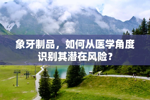 象牙制品，如何从医学角度识别其潜在风险？