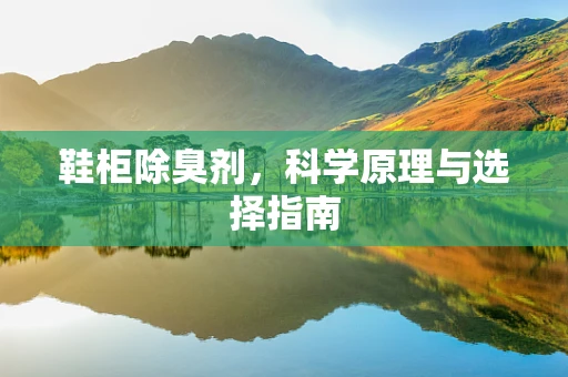 鞋柜除臭剂，科学原理与选择指南