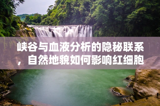 峡谷与血液分析的隐秘联系，自然地貌如何影响红细胞形态？