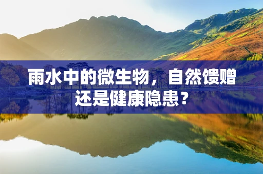雨水中的微生物，自然馈赠还是健康隐患？