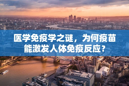 医学免疫学之谜，为何疫苗能激发人体免疫反应？