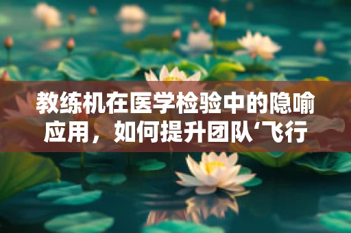 教练机在医学检验中的隐喻应用，如何提升团队‘飞行’效率？