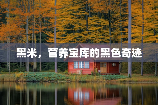 黑米，营养宝库的黑色奇迹