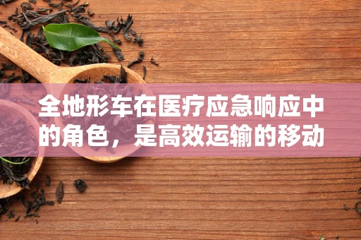 全地形车在医疗应急响应中的角色，是高效运输的移动实验室吗？