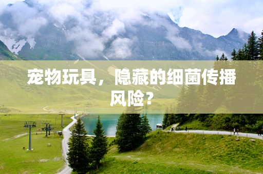 宠物玩具，隐藏的细菌传播风险？