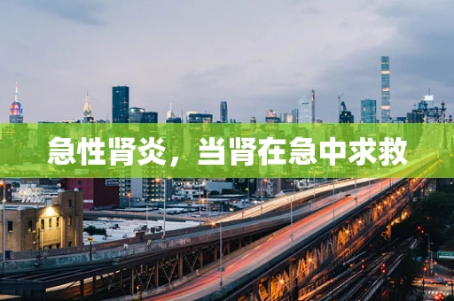 急性肾炎，当肾在急中求救