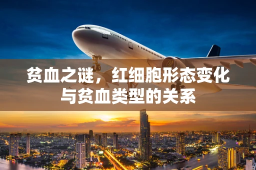贫血之谜，红细胞形态变化与贫血类型的关系
