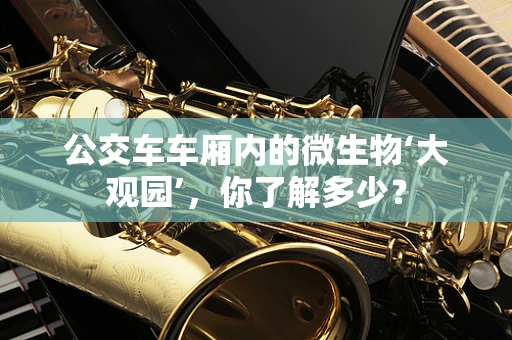 公交车车厢内的微生物‘大观园’，你了解多少？