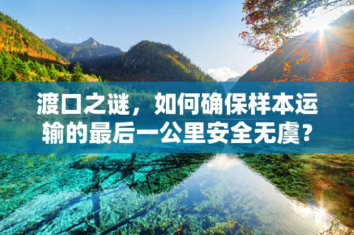 渡口之谜，如何确保样本运输的最后一公里安全无虞？