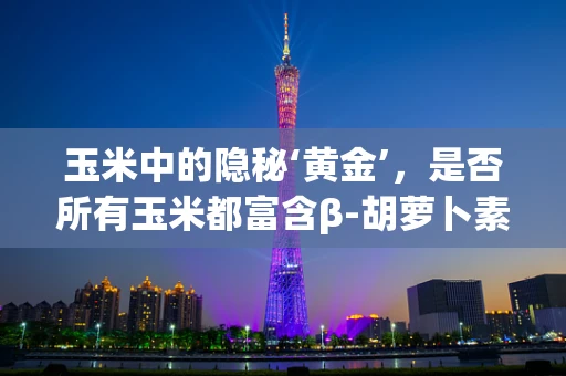 玉米中的隐秘‘黄金’，是否所有玉米都富含β-胡萝卜素？