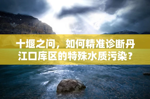 十堰之问，如何精准诊断丹江口库区的特殊水质污染？