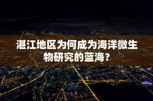 湛江地区为何成为海洋微生物研究的蓝海？