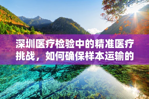 深圳医疗检验中的精准医疗挑战，如何确保样本运输的冷链完整性？
