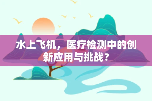水上飞机，医疗检测中的创新应用与挑战？