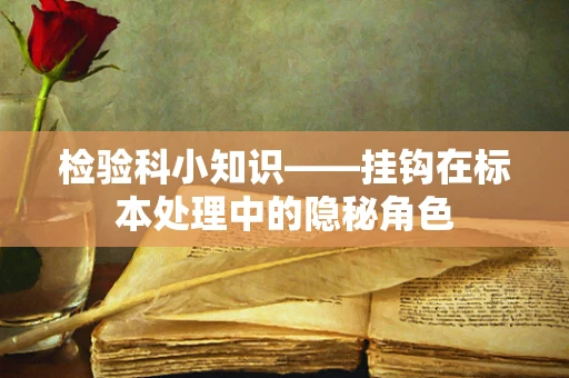 检验科小知识——挂钩在标本处理中的隐秘角色