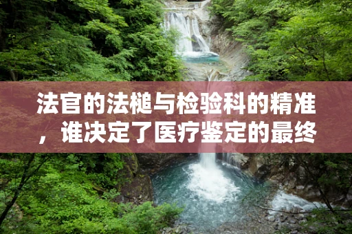 法官的法槌与检验科的精准，谁决定了医疗鉴定的最终裁决？