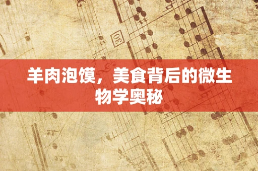 羊肉泡馍，美食背后的微生物学奥秘