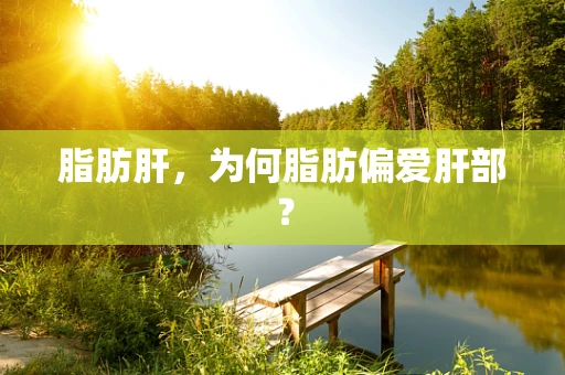 脂肪肝，为何脂肪偏爱肝部？