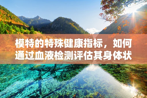 模特的特殊健康指标，如何通过血液检测评估其身体状态？