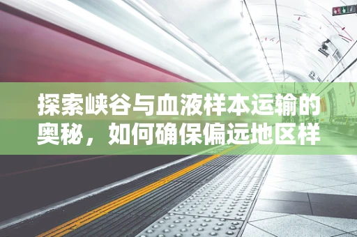 探索峡谷与血液样本运输的奥秘，如何确保偏远地区样本的稳定送达？