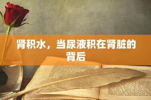 肾积水，当尿液积在肾脏的背后