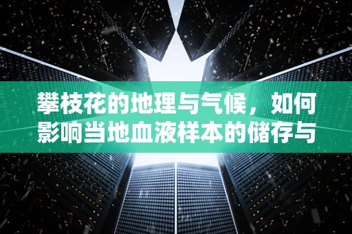 攀枝花的地理与气候，如何影响当地血液样本的储存与运输？