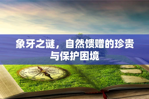 象牙之谜，自然馈赠的珍贵与保护困境