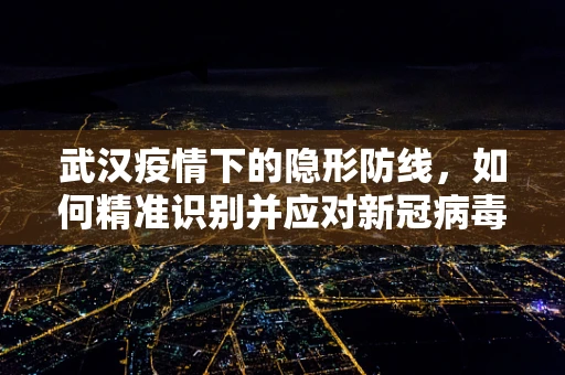 武汉疫情下的隐形防线，如何精准识别并应对新冠病毒的变异挑战？