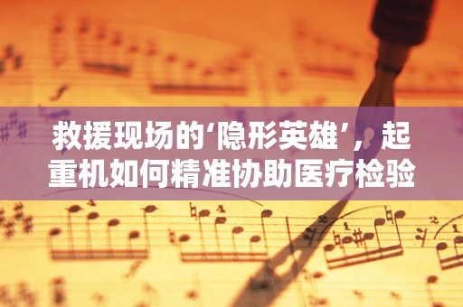 救援现场的‘隐形英雄’，起重机如何精准协助医疗检验样本转移？