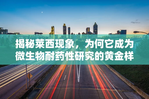 揭秘莱西现象，为何它成为微生物耐药性研究的黄金样本？