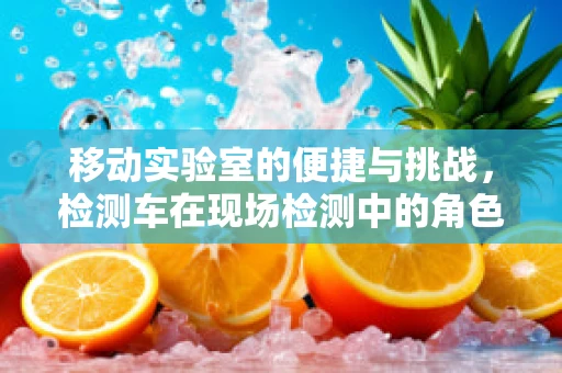 移动实验室的便捷与挑战，检测车在现场检测中的角色与考量