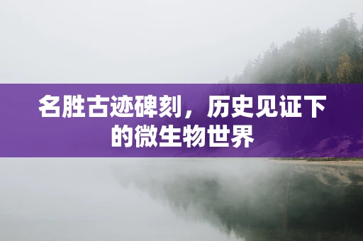名胜古迹碑刻，历史见证下的微生物世界