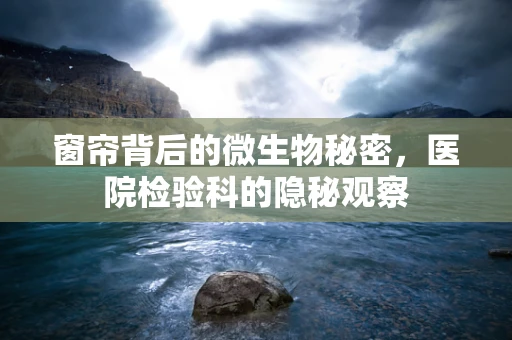 窗帘背后的微生物秘密，医院检验科的隐秘观察