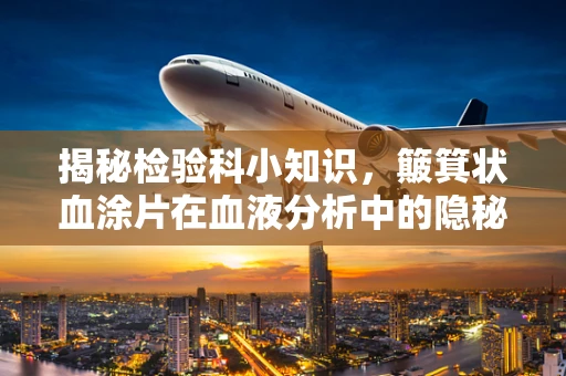 揭秘检验科小知识，簸箕状血涂片在血液分析中的隐秘角色