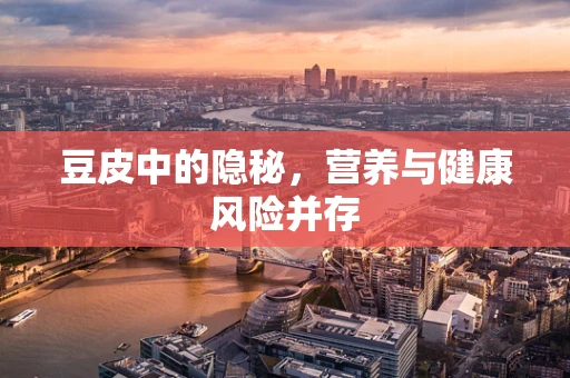 豆皮中的隐秘，营养与健康风险并存