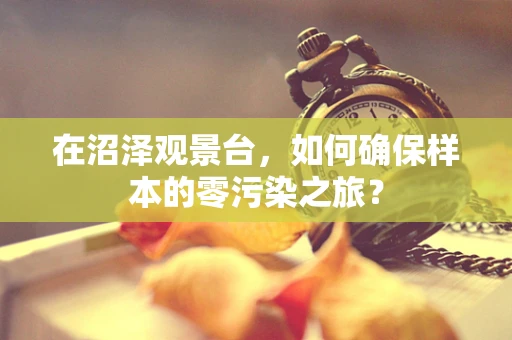 在沼泽观景台，如何确保样本的零污染之旅？