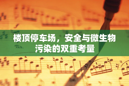 楼顶停车场，安全与微生物污染的双重考量