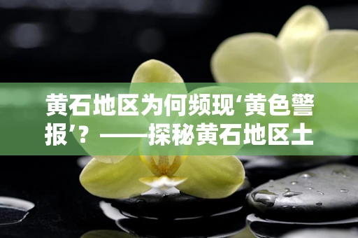 黄石地区为何频现‘黄色警报’？——探秘黄石地区土壤与水源中的重金属污染