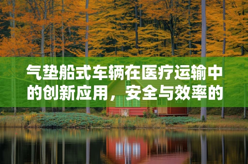 气垫船式车辆在医疗运输中的创新应用，安全与效率的双重挑战？