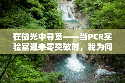 在微光中寻觅——当PCR实验室迎来零突破时，我为何感到欣慰？